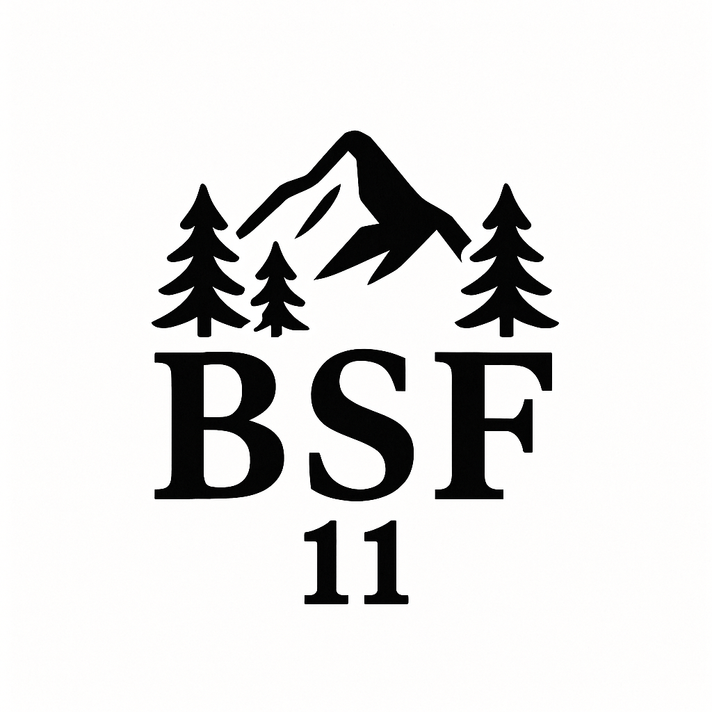 Logo BSF 11